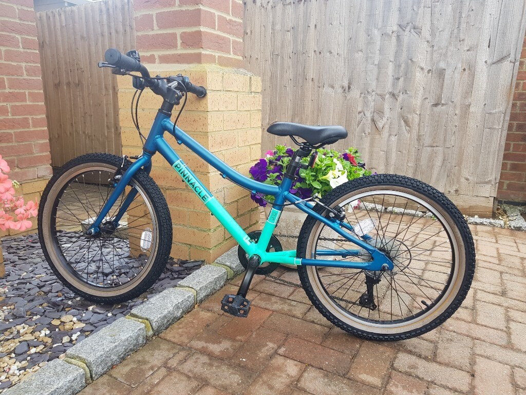 pinnacle ash 20 inch